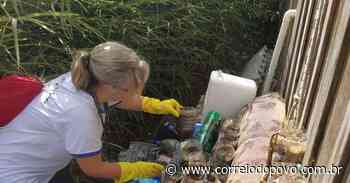 Ivoti e Parobé realizam mutirão de limpeza contra o Aedes aegypti - Correio do Povo