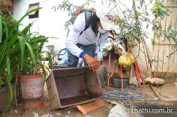 Mais de 8,3 mil imóveis de Birigui já foram vistoriados no mutirão de combate ao mosquito transmissor da dengue - Portal Thathi