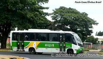 Transportes em Birigui (SP) são retomados e Viação Suzano reconhece erro, diz prefeitura - Diário do Transporte