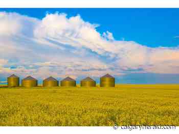 Yedlin: There's another worldwide security issue Alberta can help solve: food - Calgary Herald