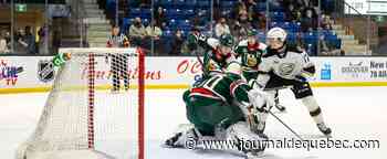 Les Mooseheads surprennent les meneurs
