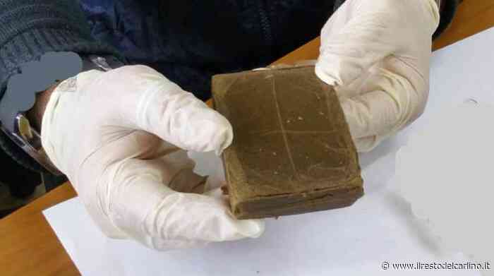 Venezia, sgominata baby gang che gestiva lo spaccio di droga a Caorle - il Resto del Carlino