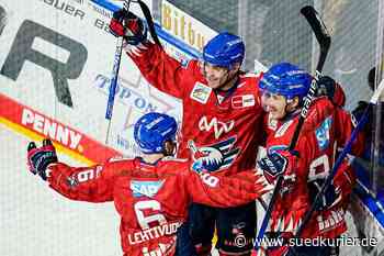 Mannheim: Kölner Haie auf Playoff-Kurs - Mannheim nur Fünfter - SÜDKURIER Online