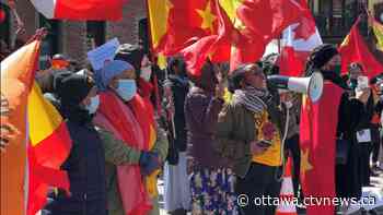 Ethiopia: Protesters march in Ottawa in support of Tigray | CTV News - CTV News Ottawa
