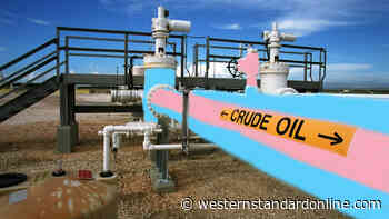 Ottawa to rename Trans Mountain Pipeline after backlash from trans activists - Western Standard