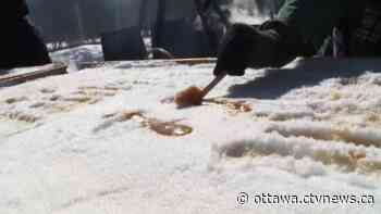 What's happening in Ottawa this weekend: April 1-3 - CTV News Ottawa