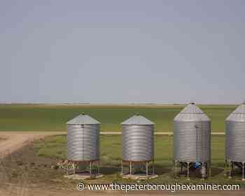 Saskatchewan farmers pinched by inflation, drought say carbon tax hike another drag - The Peterborough Examiner