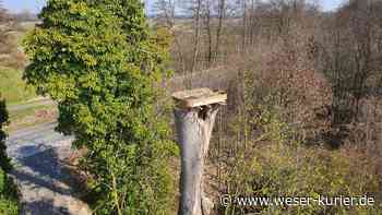 Neues Storchennest in zwölf Metern Höhe - WESER-KURIER