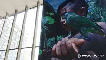 Biennale für aktuelle Fotografie in Mannheim, Heidelberg und Ludwigshafen - SWR Aktuell