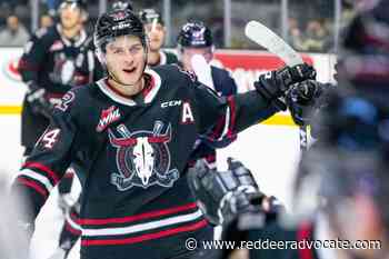 Red Deer Rebels forward Ben King named WHL Player of the Month – Red Deer Advocate - Red Deer Advocate