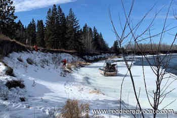 Early ice break on Red Deer River sparks concern, draws birds – Red Deer Advocate - Red Deer Advocate