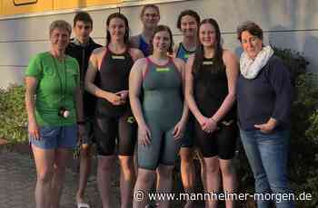 Schwimmer wieder im Wettkampfmodus - Mannheimer Morgen