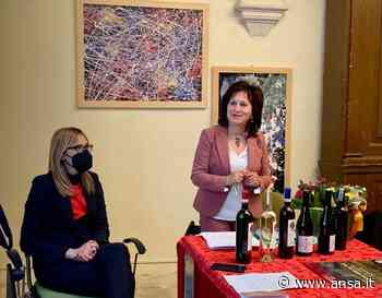 Alimentare: a Sulmona nasce blog 'Antiche terre del vino' - Agenzia ANSA