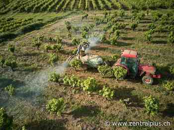 Gülle-Unfall in Oberkirch: Das sagt der Gemeindepräsident | zentralplus - zentralplus