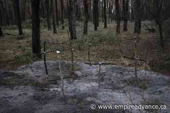 Zelenskyy: Mines in wake of Russian retreat keep Kyiv unsafe - Virden Empire Advance