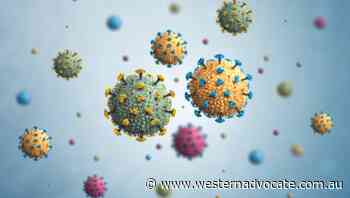 NSW COVID cases drop, hospitalisation numbers rise - Western Advocate