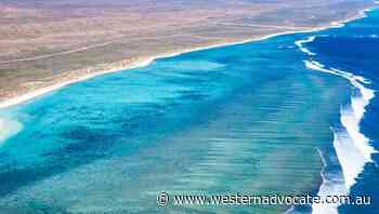 Coral bleaching hits iconic WA coast - Western Advocate