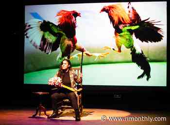 Q&A: The Inspiration Behind Shey Rivera Rios' Innovative AntigonX - Rhode Island Monthly