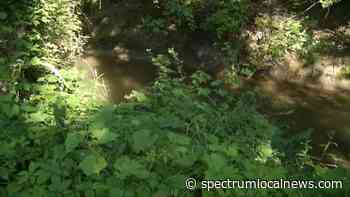 More than $2 million coming to help restore Cayuga Creek - Spectrum News