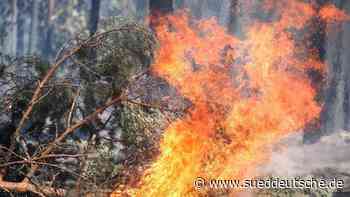 Brände - Celle - Erste Spezialfahrzeuge für Waldbrände an Feuerwehr übergeben - Panorama - Süddeutsche Zeitung - SZ.de