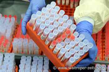 Coronavirus: Zahl der Neuinfektionen in Waltrop steigt rasant an - Waltroper Zeitung