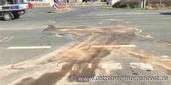 Schwerverletzte Busfahrerin (69) schwebt nicht mehr in Lebensgefahr - Dattelner Morgenpost