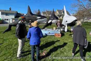 New Victoria community garden grows food security, orca awareness - Saanich News