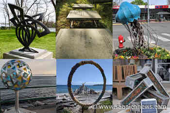 Arts laureate position opens to residents outside of Oak Bay - Saanich News