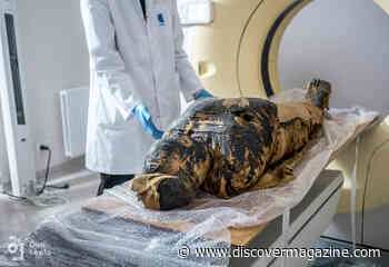 A Closer Look at the World's First Pregnant Egyptian Mummy