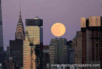 No, the Moon Is not Bigger on the Horizon