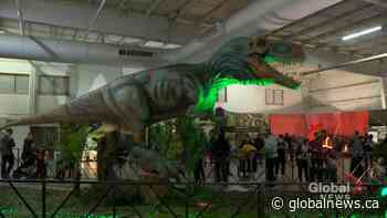 Jurassic quest makes stop in Saskatoon - Global News