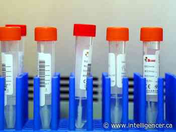 Local COVID cases, hospitalizations continue to rise - Belleville Intelligencer