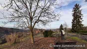 "Tra le righe di Fenoglio", visite nel weekend ad Alba e mostra sul linguaggio dello scrittore - Cuneocronaca.it - Cuneocronaca.it