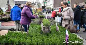 Tuinhier kan eindelijk weer uitpakken met nieuwe Groenmarkt - Het Laatste Nieuws