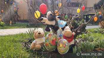 Weil es so gut ankam. Die große Osteraktion der WIWOG in Wittenberg startet noch einmal! - Mitteldeutsche Zeitung