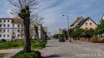 Vorhaben zum Urbanen Gebiet in Wittenberg haben Proteste ausgelöst - Mitteldeutsche Zeitung