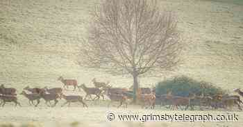 Temperatures to drop to minus 6c tonight as cold weather continues - Grimsby Live