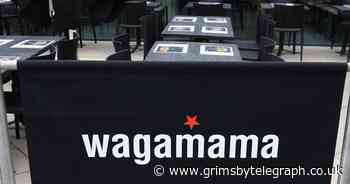 Wagamama launches new summer menu featuring chicken katsu curry salad - Grimsby Live - Grimsby Live