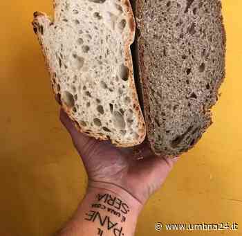 Alla porchetta, carbonara o pere e noci: il pane special di Arrone, dove trovarlo - Umbria 24 News