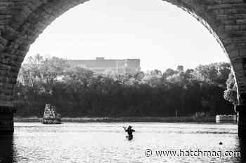 When everything comes up carp, embrace it - Hatch Magazine