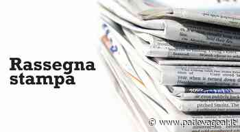 Pro Vercelli-Padova, l'analisi e le pagelle de - Padova Goal