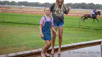 Crowd enjoys Northampton Cup at Geraldton Turf Club until rain cuts the races short - The West Australian