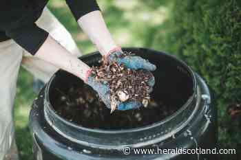 Gardening with Dave Allan: How to set up the perfect compost heap for your plot - HeraldScotland