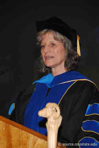 Vice Provost Kelly Long to retire this fall after 42 years in education - Source