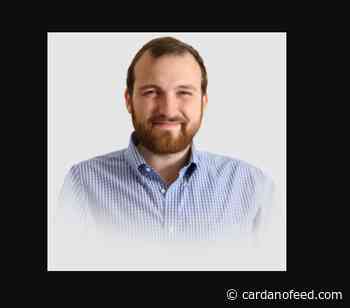 Cardano Founder Fumes at People Requesting for ADA Burns, Says Burning Cardano Is Like Burning Money - Cardano Feed
