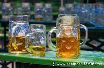 Unfall in Leinfelden-Echterdingen - Zu tief ins Glas geschaut - esslinger-zeitung.de