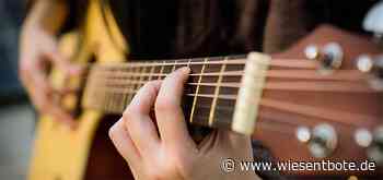 Kreismusikschule Bamberg veranstaltet Tag der offenen Tür in Hirschaid - Der Neue Wiesentbote