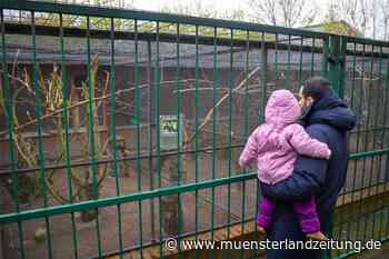 Volieren im Losbergpark: Ehrenamtliche kümmern sich um die Tiere | Stadtlohn - Münsterland Zeitung