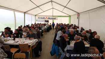 Montech. "Coquelicots" rugby : prêts pour les 110 ans du club - LaDepeche.fr