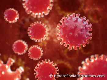 Coronavirus variant: 5 facts about new variant XE from global health experts - Times of India